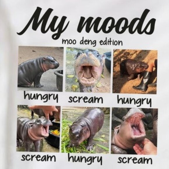 Hippo Moo Deng T Shirt, Cute Moo Deng, Zoo Baby Fan Hippo Shirt - Picture 2 of 4